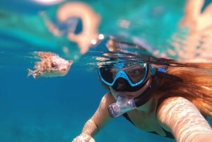Mascate: Passeio de mergulho com snorkel na Ilha Daymaniyat
