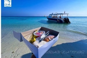 Mascate: Excursión de snorkel a la isla Daymaniyat