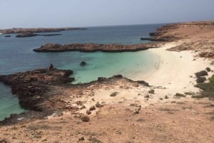 Mascate : tour en bateau privé des îles Daymaniyat avec plongée en apnée