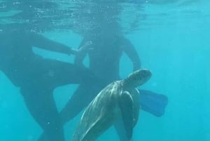 Mascate : excursion de plongée en apnée dans les îles Daymaniyat avec rafraîchissements