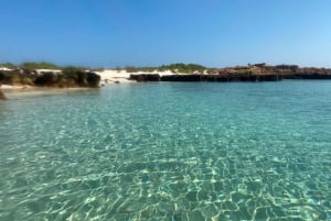 Mascate : excursion de plongée en apnée dans les îles Daymaniyat avec rafraîchissements