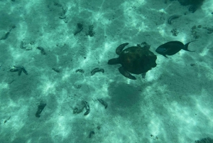 Muscat: Daymaniyat Islands Snorkeling Tour