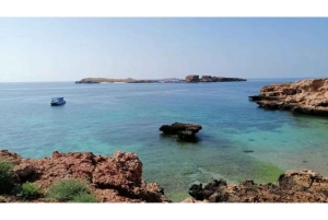 Muscat: gita di snorkeling alle isole Daymaniyat con pranzo