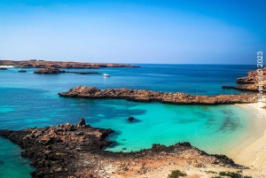 Muscat: gita di snorkeling alle isole Daymaniyat con pranzo