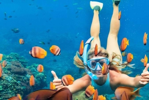 Muscat: gita di snorkeling alle isole Daymaniyat con pranzo
