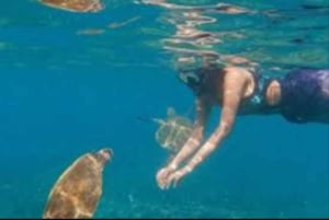 Maskat: nurkowanie z przekÄ…skami na wyspach Daymaniyat