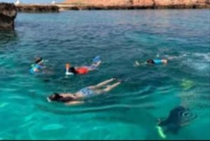 Maskat: nurkowanie z przekÄ…skami na wyspach Daymaniyat