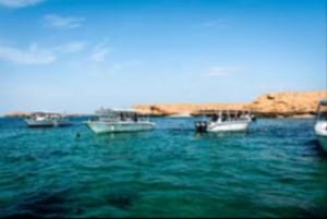 Maskat: nurkowanie z przekÄ…skami na wyspach Daymaniyat