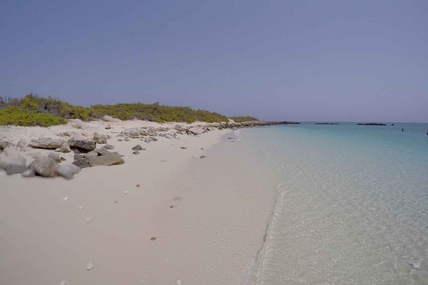 مسقط: رحلة الغطس في جزر الديمانيات مع كيو تورز