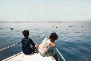 Muscat: Daymaniyat Islands Snorkeling Trip with QTours