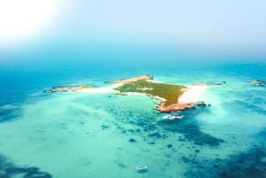 Muscat: Daymaniyat Islands Snorkeling Trip with QTours