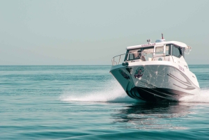 مسقط: رحلة الغطس في جزر الديمانيات مع كيو تورز