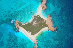 مسقط: رحلة الغطس في جزر الديمانيات مع كيو تورز