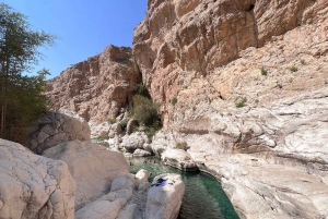 Mascate: Puesta de sol en el desierto y Wadi Bnai Khalid Tour de día completo+Almuerzo