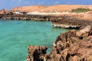 Muscat: Snorkeltur på Dimaniat-øerne