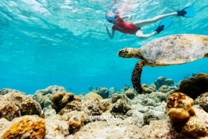 Muscat: Dimaniyat Island Snorkeling Trip with Hotel Transfer