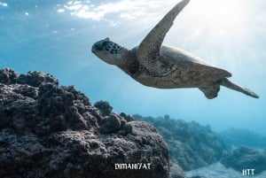 Muscat: Dimaniyat Island Snorkeling Trip with Hotel Transfer