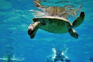 Маскат: Поездка на остров Диманият для подводного плавания с трансфером из отеля