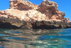 Маскат: Поездка на остров Диманият для подводного плавания с трансфером из отеля