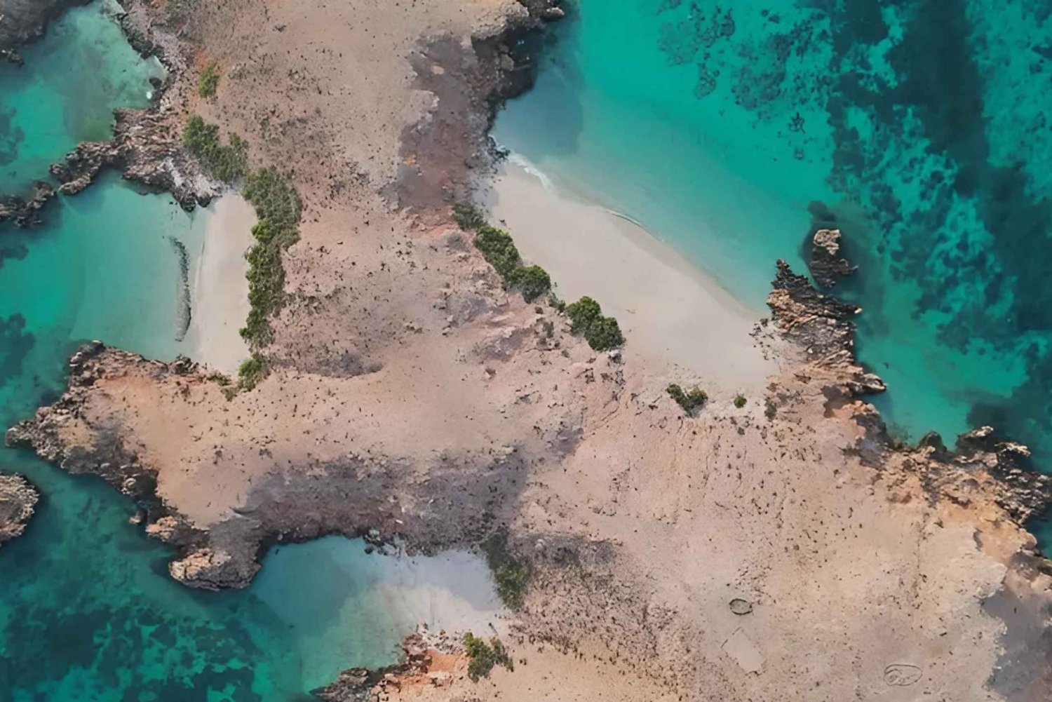 Muscat: Snorkeltur ved Dimaniyat-øerne med afhentning på hotellet