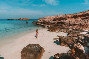 Maskat: nurkowanie z rurką na Dimaniyat Islands z odbiorem z hotelu