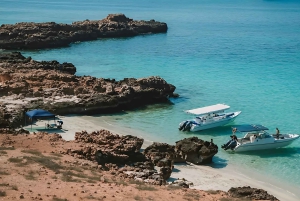 Maskat: nurkowanie z rurką na Dimaniyat Islands z odbiorem z hotelu