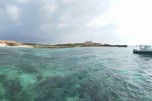 マスカット：ディマニヤット諸島でカメとシュノーケリングをお楽しみください