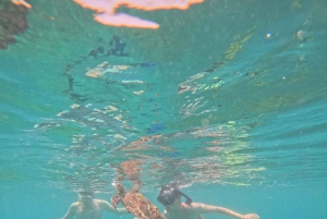 マスカット：ディマニヤット諸島でカメとシュノーケリングをお楽しみください