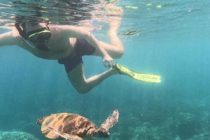 マスカット：ディマニヤット諸島でカメとシュノーケリングをお楽しみください