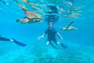 マスカット：ディマニヤット諸島でカメとシュノーケリングをお楽しみください