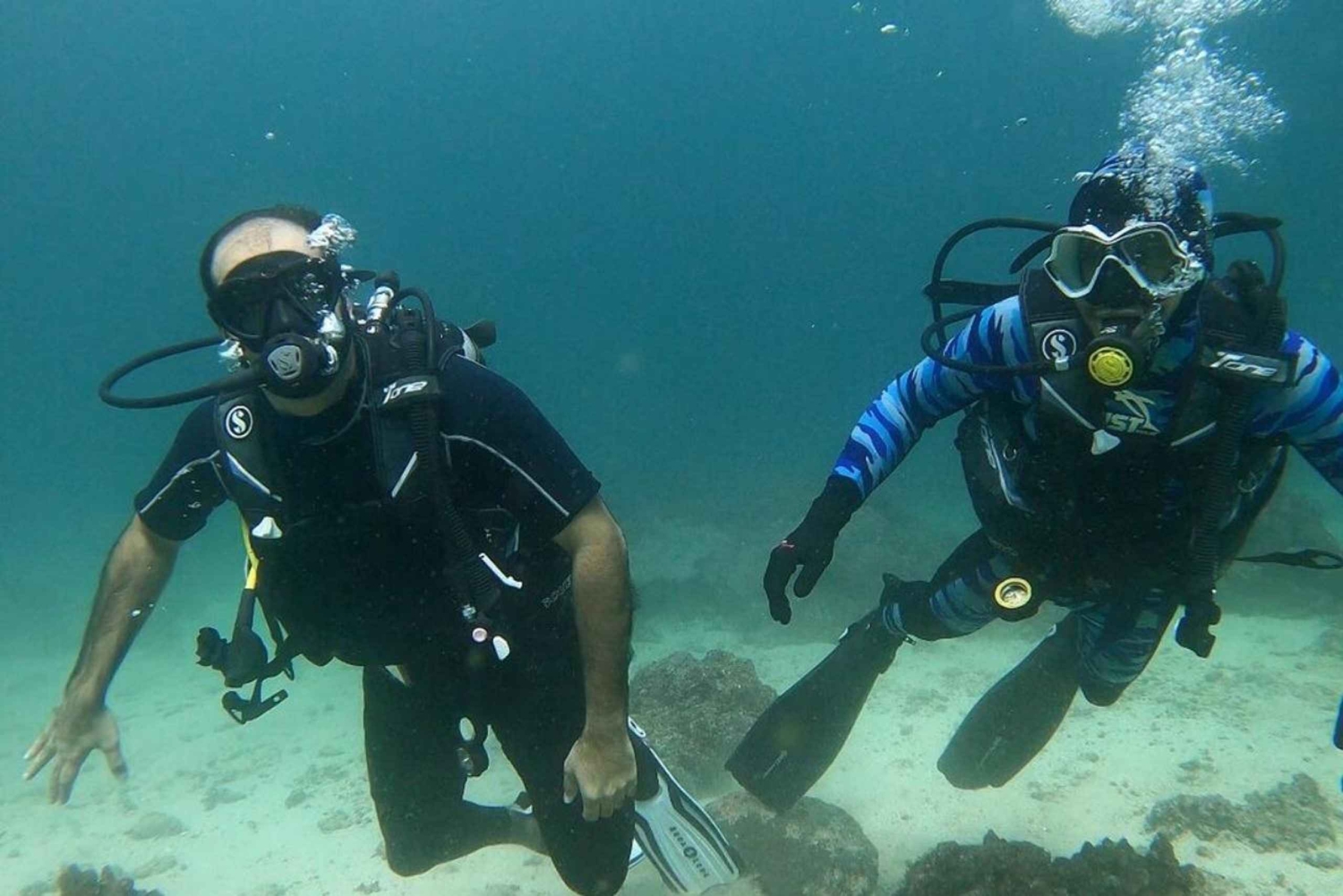 Muscat: Discovery under the water & Scuba Diving in Muscat