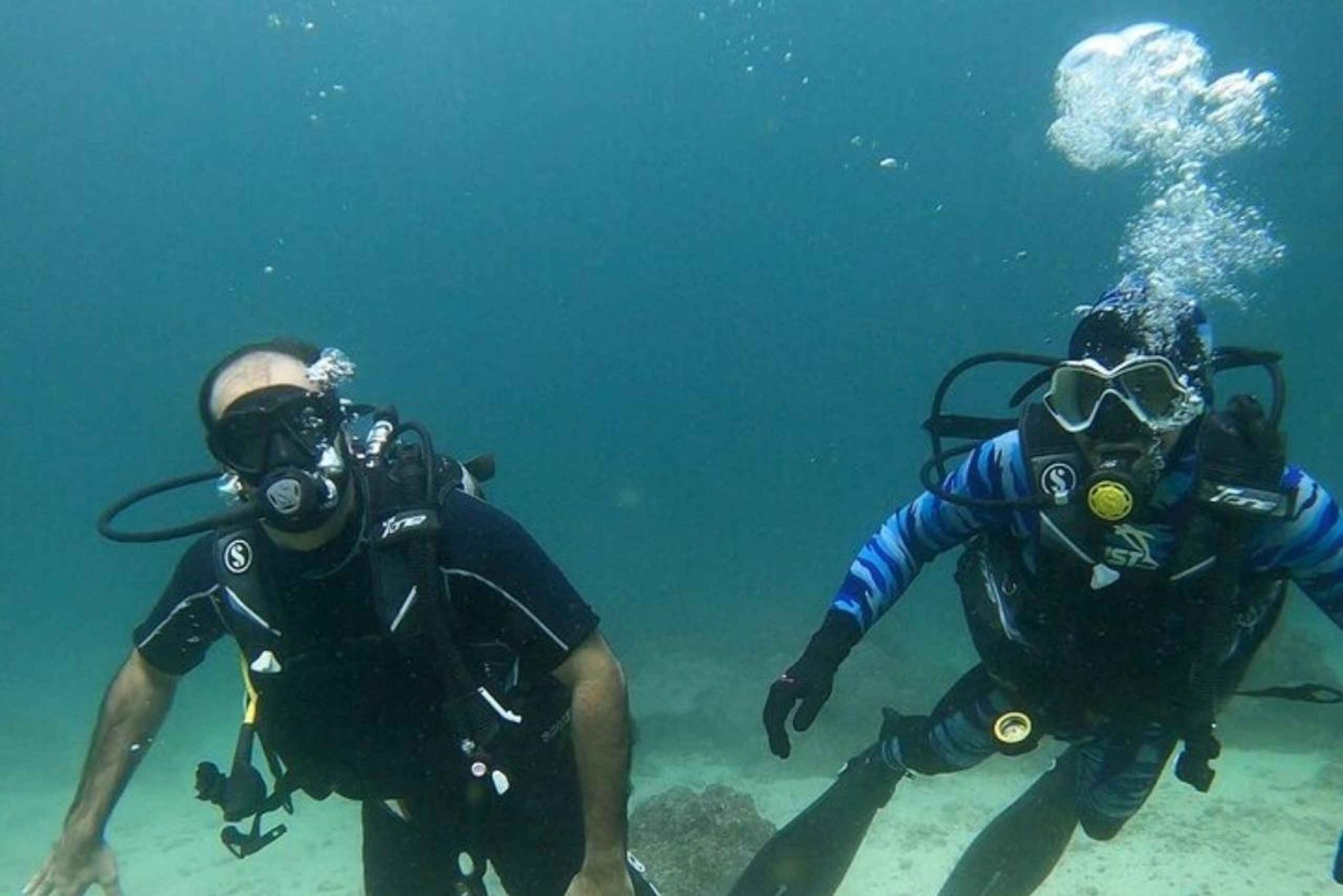 Muscat: Discovery under the water & Scuba Diving in Muscat