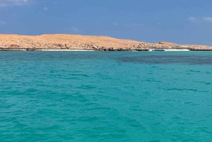 Muscat: Discovery under the water & Scuba Diving in Muscat