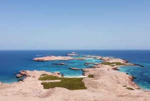 Muscat: Dykking på Daymaniyat-øyene