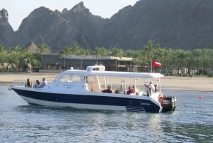 Muscat: Delfinobservation og snorkeludflugt