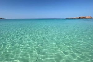 مسقط: مشاهدة الدلافين والغطس ومشاهدة الدلافين