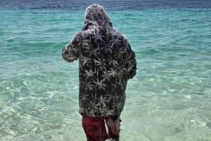 مسقط: مشاهدة الدلافين والغطس ومشاهدة الدلافين