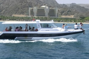 Muscat: Dolphin Watching and Snorkeling Experience