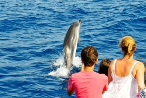 Muscat: Dolphin Watching and Snorkeling Experience