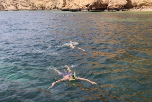 Muscat: Dolphin Watching and Snorkeling Tour By Speed Boat