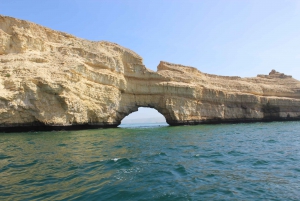 Muscat: Dolphin Watching and Snorkeling Tour By Speed Boat