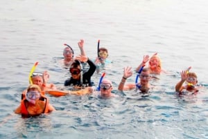 Muscat: Dolphin Watching and Snorkeling Tour
