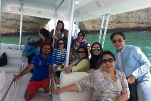 Muscat: Dolphin Watching and Snorkeling Tour