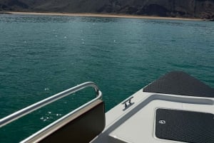 Mascate: excursión para avistar delfines y practicar snorkel