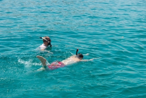 Muscat: Delfinobservation og snorkeltur