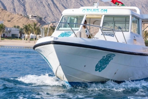 Muscat: Delfinobservation og snorkeltur