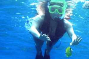 مسقط: رحلة مشاهدة الدلافين والغطس