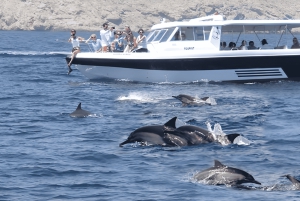 مسقط: رحلة مشاهدة الدلافين والغطس