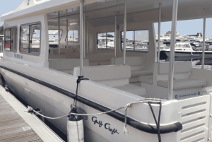 مسقط: رحلة مشاهدة الدلافين والغطس