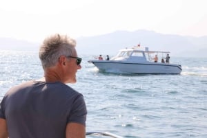 مسقط: جولة بالقارب لمشاهدة الدلافين